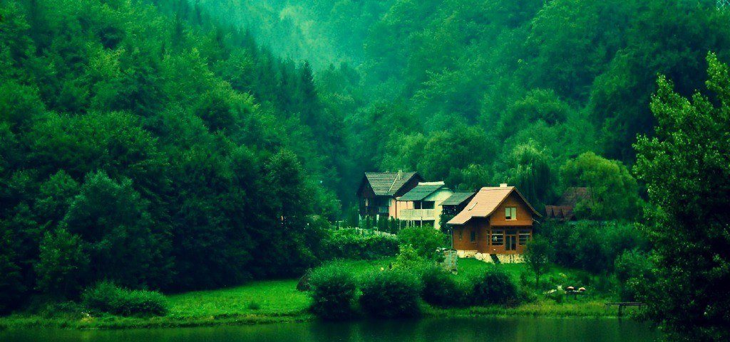 casa en el bosque